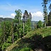 Unterwegs nach Hinterzarten