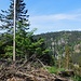 Unterwegs nach Hinterzarten