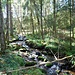 Unterwegs nach Hinterzarten