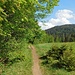 Unterwegs nach Hinterzarten