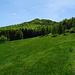 Monte Palagia dall'alpe di Lierna.