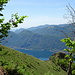 Salendo al monte Palagia.