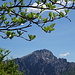 Grignetta dalla cima del m.Palagia.