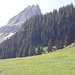 Wie ein Gemälde: Idylle im Gspon