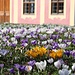 Frühling