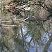 am Bach entlang