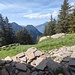Vista dall'Alpe d'Otri