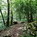 Kurz vor den Oberhauser Felsen.