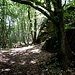 Wieder auf dem Boden. Parallel zum Oberhäuser Grat verläuft eine weitere Felsrippe, die Unbekannte Wand. Die wollte ich nicht auslassen.