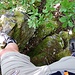 Tritte von Fels auf Baum auf Fels sind keine Ausnahme.