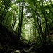Der Pfad durchs Trübenbachtal gilt als beliebter Wanderweg - als wir kamen, war hier allerdings niemand unterwegs.