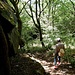 Auf dem schönen Wanderweg angekommen, liefen wir nun hinunter nach Kallenfels.