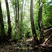 Wir wanderten ins Trübenbachtal hinein.