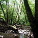 Im Trübenbachtal.
