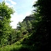 Vom breiten Waldweg führt in einer Rechtskurve ein kleiner Pfad ans untere Ende des Wehlengrats. 