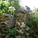 Die nächste Stufe wird entweder rechts im Steilkraut umgangen, oder direkt an diesem Riss in einer ansonsten glatten Platte genommen. Eine Birke auf halber Höhe hilft.
