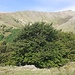 In vista del Monte Lungo o Vetta del Vallone.