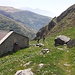 Alpe Stabiello 1704 mt