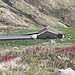 Alpe Stabiello 1704 mt