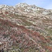 Ambiente Val Cavargna. 