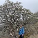 Rita vor blühendem Rhododendronbaum auf dem Weg nach Chutanga