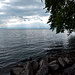 am Bodensee (Aufn. vom 28. Mai 2022)