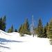 ein Hauch von Winter