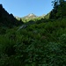 salendo verso l'alpe Motte in ambiente selvaggio, la traccia è nascosta dalla vegetazione