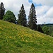 Unterwegs zum Feldbergpass