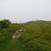 Gipfelplateau Herzogenhorn (1415 m)