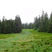 Aufstieg vom Feldbergpass zum Herzogenhorn