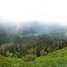 Herzogenhorn (1415 m)<br />Tiefblick ins Krünkelbachtal