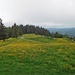 Vom Kleinen Spießhorn geht es hinunter zur Krunkelbachhütte