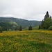 Abstieg zur Krunkelbachhütte