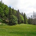 Am Krunkelbachsattel hielten wir uns rechts und wanderten zunächst in Richtung Menzenschwand