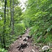 Der Sentier zwischen dem ersten und zweiten Contour.<br /><br /><br />