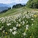Weiterwanderung nach La Châ ...