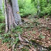 ebenfalls gut miteinander verbunden
