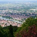 Heidelberg vom Königstuhl *