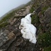 es ist nass und rutschig; einzelne Schneeflecken unterhalb des Gipfels