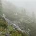 kurz vor der Alpe di Porcaresc