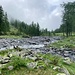 Unterhalb der Alpe di Sfii