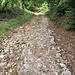 La strada verso il Passo del Vescovo conserva ancora tratti dell'antico selciato.