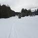 Spur im Neuschnee