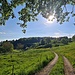 Welch ein Start in Feusisberg