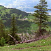Drüben über dem Tal das Berggasthaus Sücka und dahinter das Rheintal