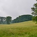 Gengenbachtal 