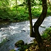 An der Enz