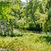 Nagold in Pforzheim 
