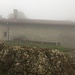 Monte San Giorgio : Oratorio di San Giorgio